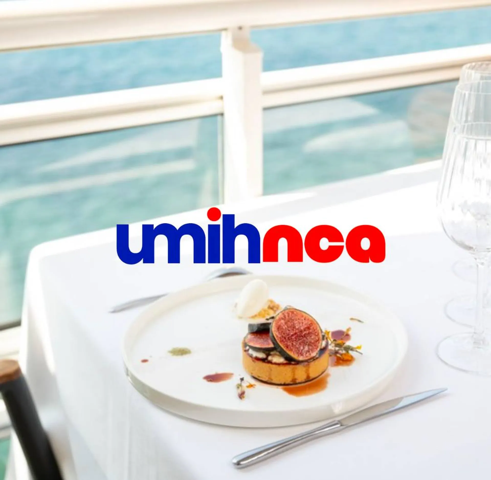 Qu’est ce que L’UMIH NCA ?