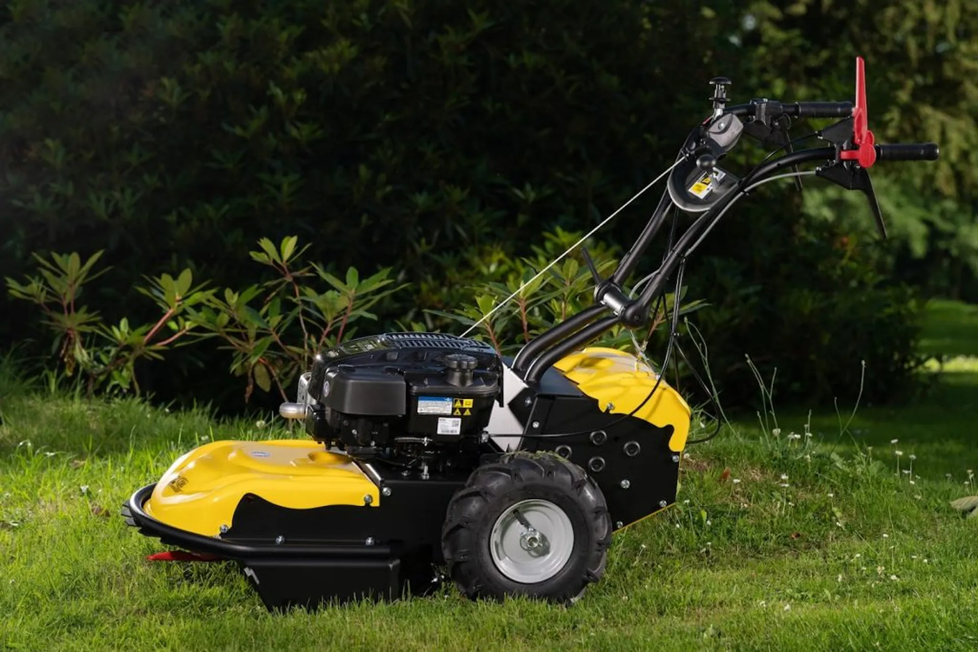 Achat débroussailleuse professionnelle RL115 idéale herbes hautes terrains difficiles avec conseils experts magasin spécialisé Ollioules Var