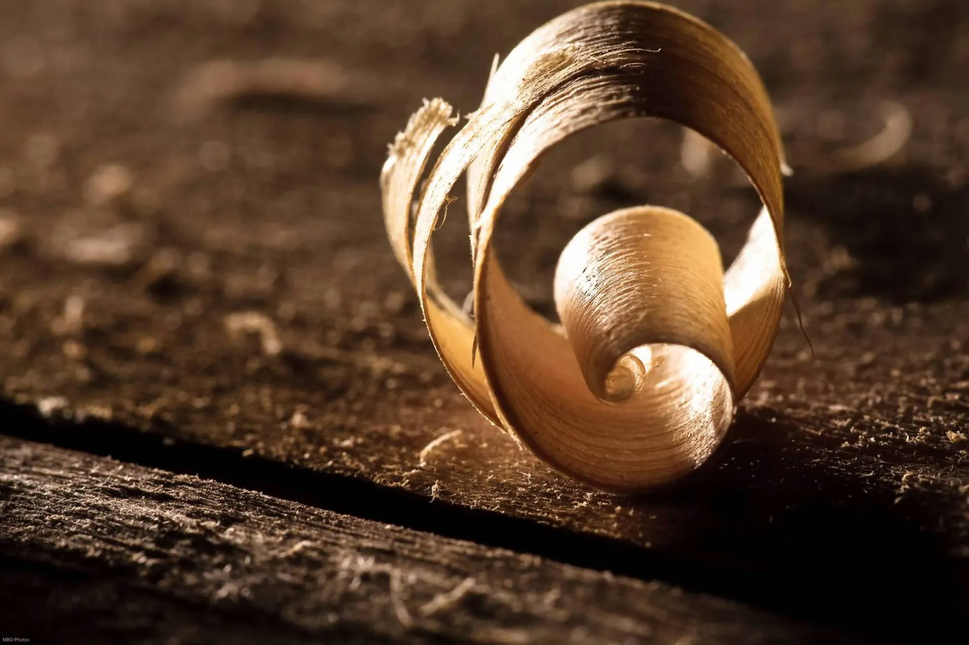 Contactez-nous pour un devis