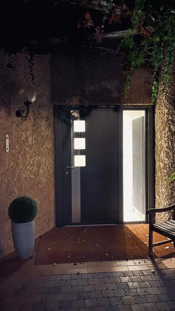 Rénovation d'une porte aluminium Kline ral 2900