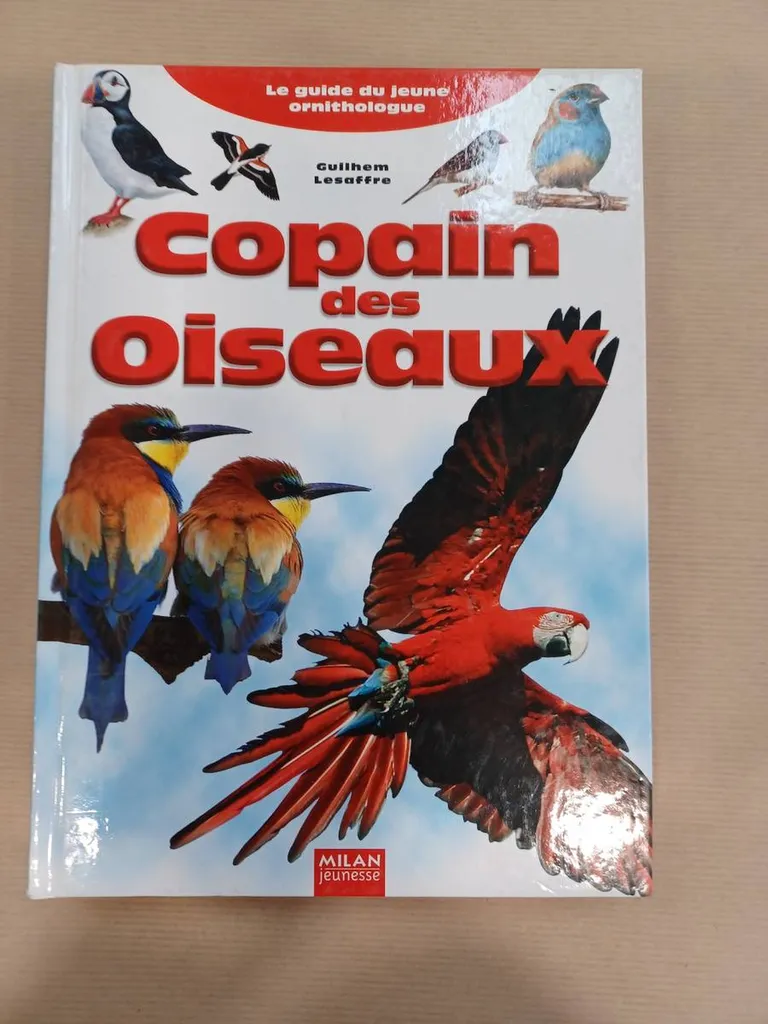 Copain des oiseaux : guide ludique pour enfants, jeux et observations ornithologiques, disponible partout en France métropolitaine entière