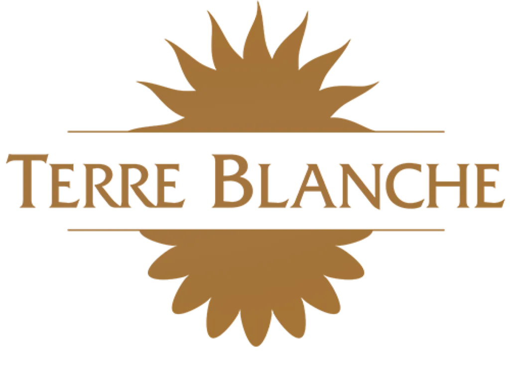 /lien-hotel+de+luxe+golf+spa+cinq+etoiles+pour+une+experience+haut+de+gamme+exceptionnelle+en+provence+avec+l+hotel+terre+blanche+resort-58