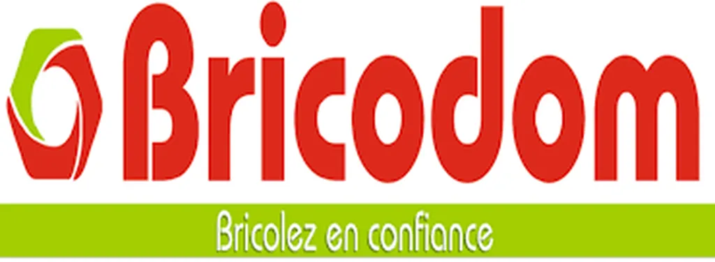 Logo de l'entreprise Bricodom à Saint-Sulpice