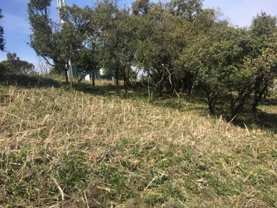 Obligation Légale de Débroussaillement mise en place par entreprise de débrousaillement vers le Gard