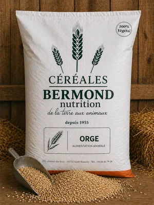 Orge alimentation volaille basse-cour céréale naturelle énergie digestion poules canards élevage grains sélectionnés nutrition équilibrée qualité professionnelle naturelle