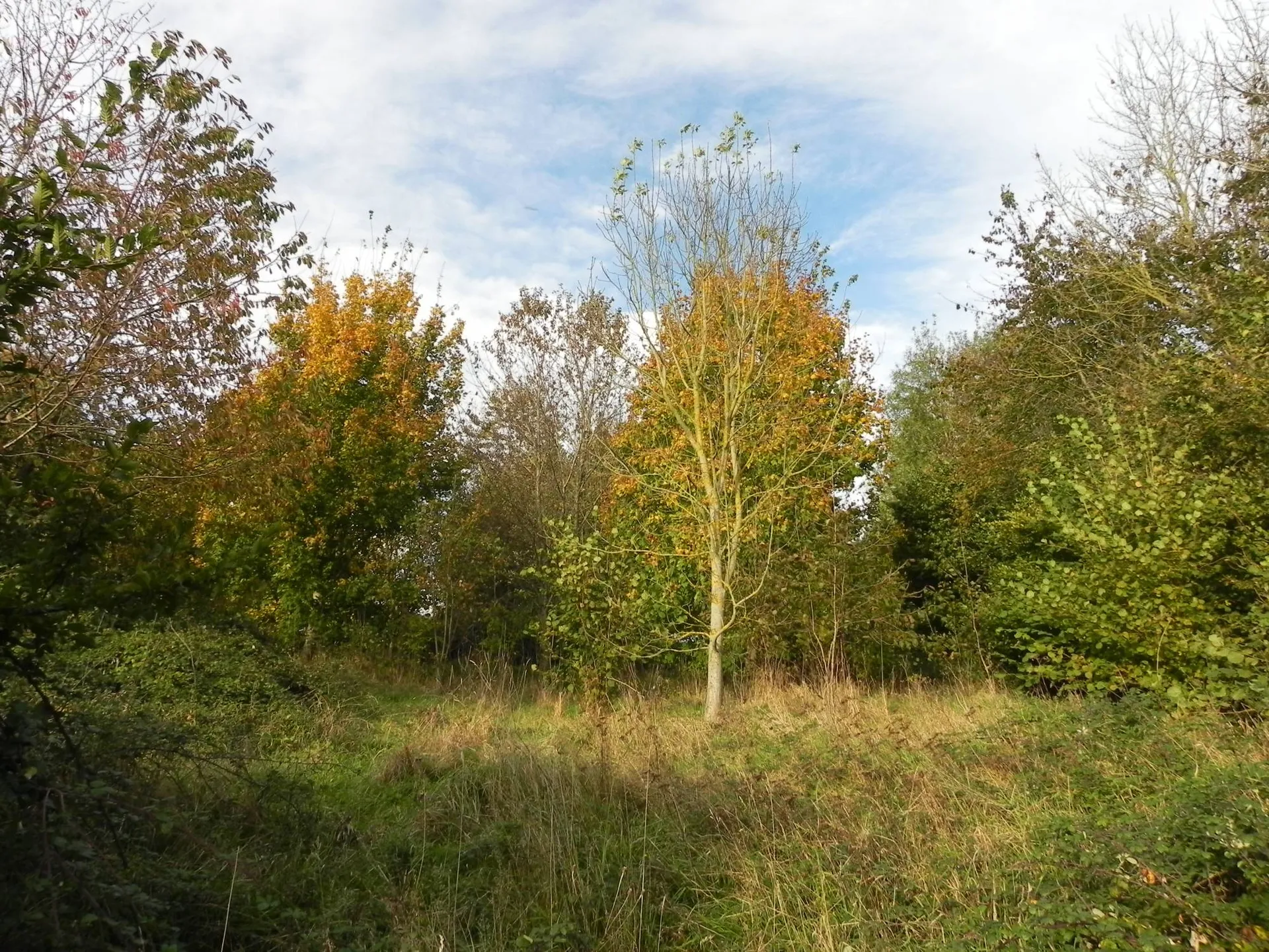 L'agence immobilière Terres et Demeures de Normandie située à Lisieux 14100, 41 avenue Victor Hugo vous présente cette parcelle de terrain agricole de presque 2Ha 90a à vendre, entre Livarot 14140 et Saint Pierre Sur Dives 14170.