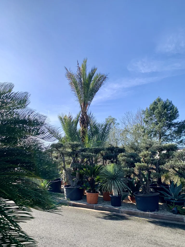 Quels types de prestations proposez-vous ?