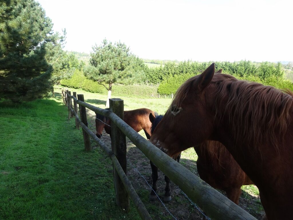 MAISON NORMANDE proche PONT L'EVEQUE