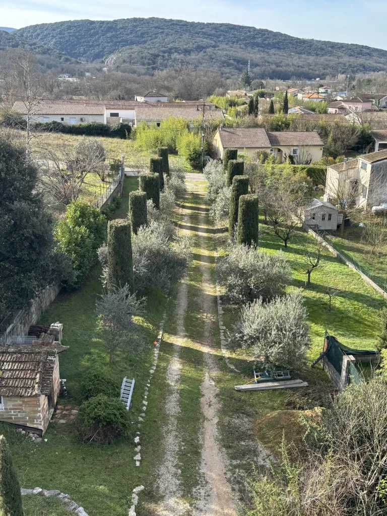 Plantation d’oliviers et d’arbres méditerranéens à Montpellier : création de jardin paysager structuré avec essences résistantes à la sécheresse dans l’Hérault