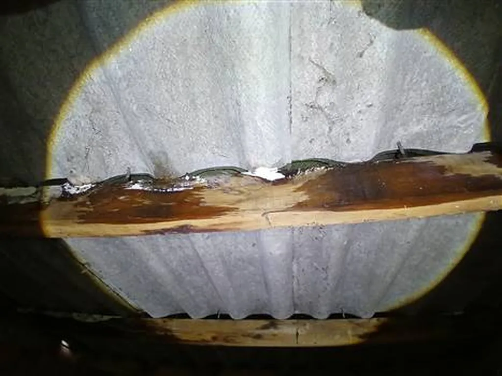 ETAT PARASITAIRE MERULES TERMITES ILX