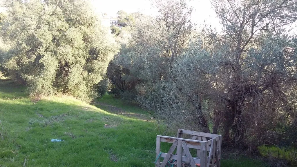 Terrain de 732 m² à PIERREFEU-DU-VAR