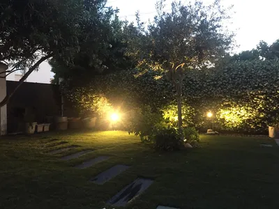 Paysagiste à Avignon expert en éclairage de jardin 