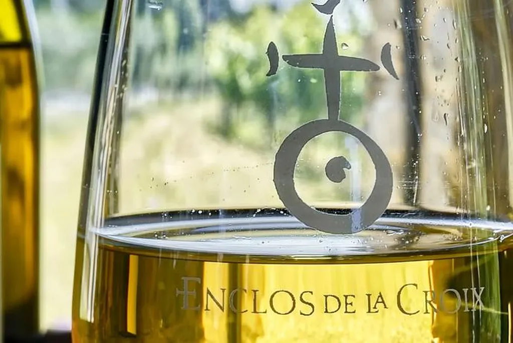 Activité de groupe à La Grande-Motte avec dégustation œnologique au domaine de l’Enclos de la Croix et safari dans l’Hérault