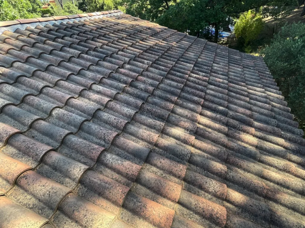 demoussage de tuile Saint-Chamas 13250