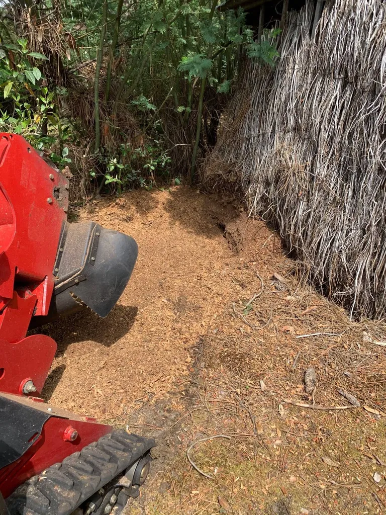 Choisir un jardinier pour rogner les souches d’arbres