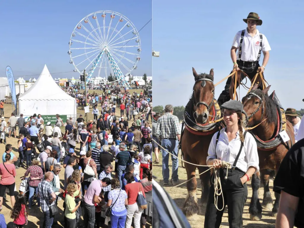 Photographe institutionnel pour reportage d’événement de collectivité à Lyon et en région Auvergne Rhône-Alpes