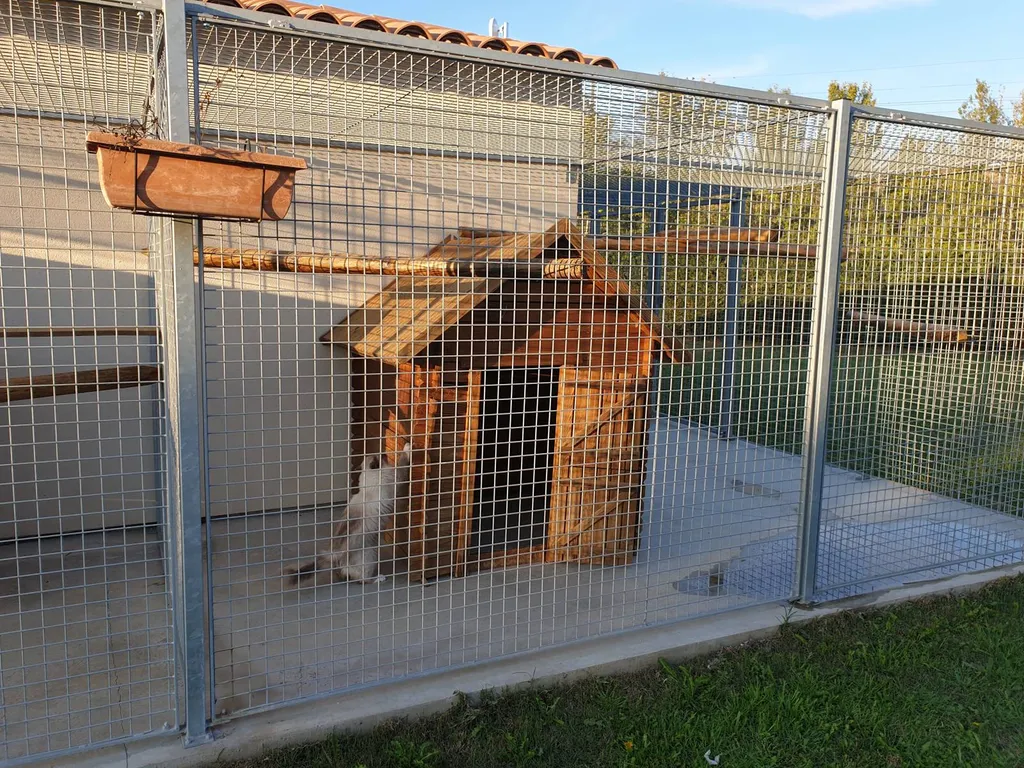 Chatterie pour de la PENSION FELINE chez CANY EXPRESS, situé à Avignon, vers Nîmes.