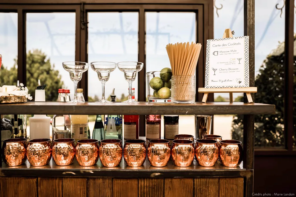 Bar à Cocktail mobile avec barman à domicile et entreprise pour événement à Lyon et dans le Rhône