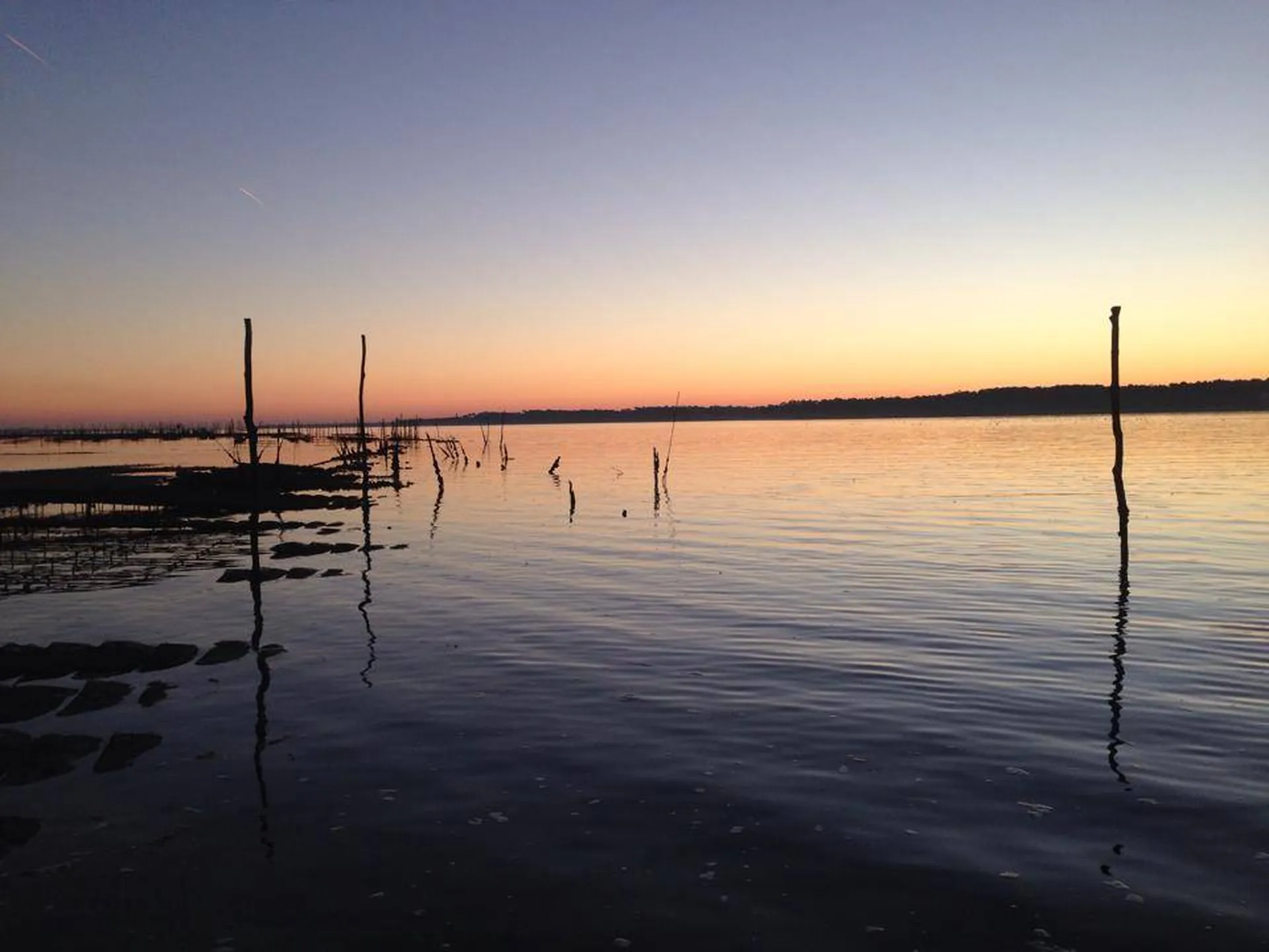 Histoire du bassin d'Arcachon - Les parcs à huîtres du bassin d'Arcachon