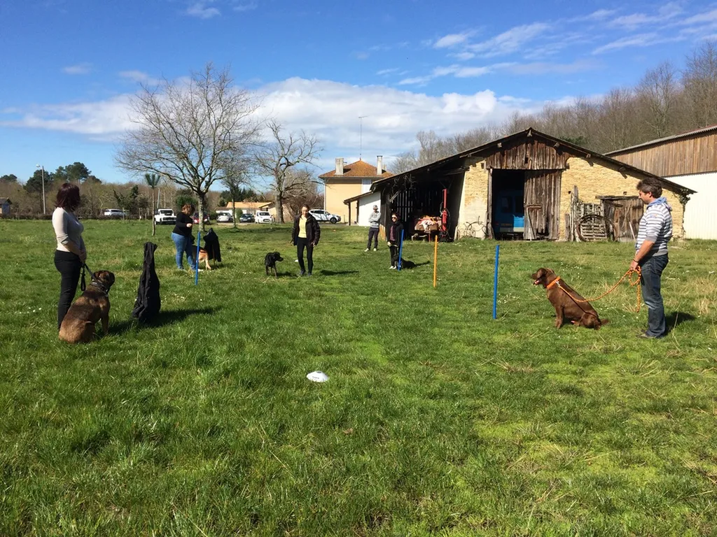 acceuillir son chiot dans les meilleurs conditions encadré sur bordeaux et bassin 