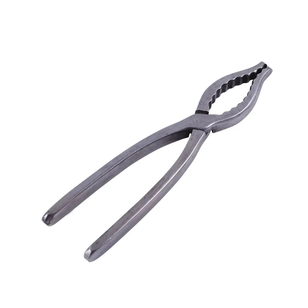 Location de pince à homard pour repas de Noël à Lyon