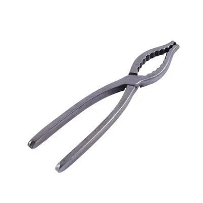 Location de pince à homard pour repas de Noël à Lyon