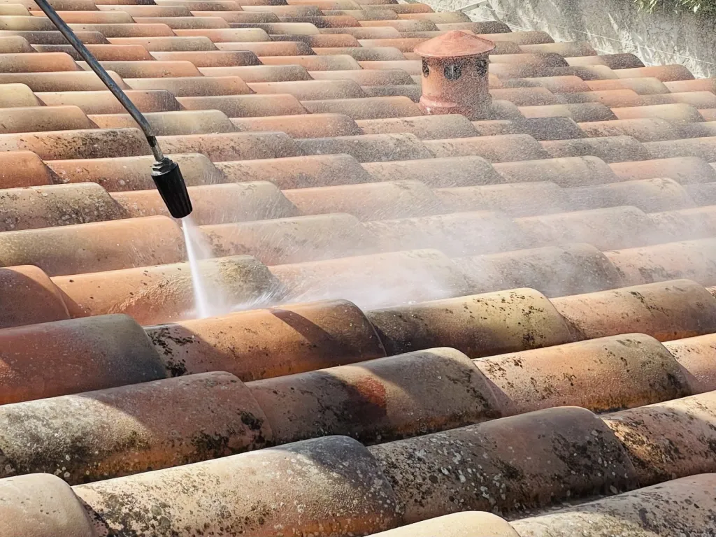 Nettoyage et traitement de tuiles mécaniques Abeilles sur Bouc Bel Air près de Aix en Provence 