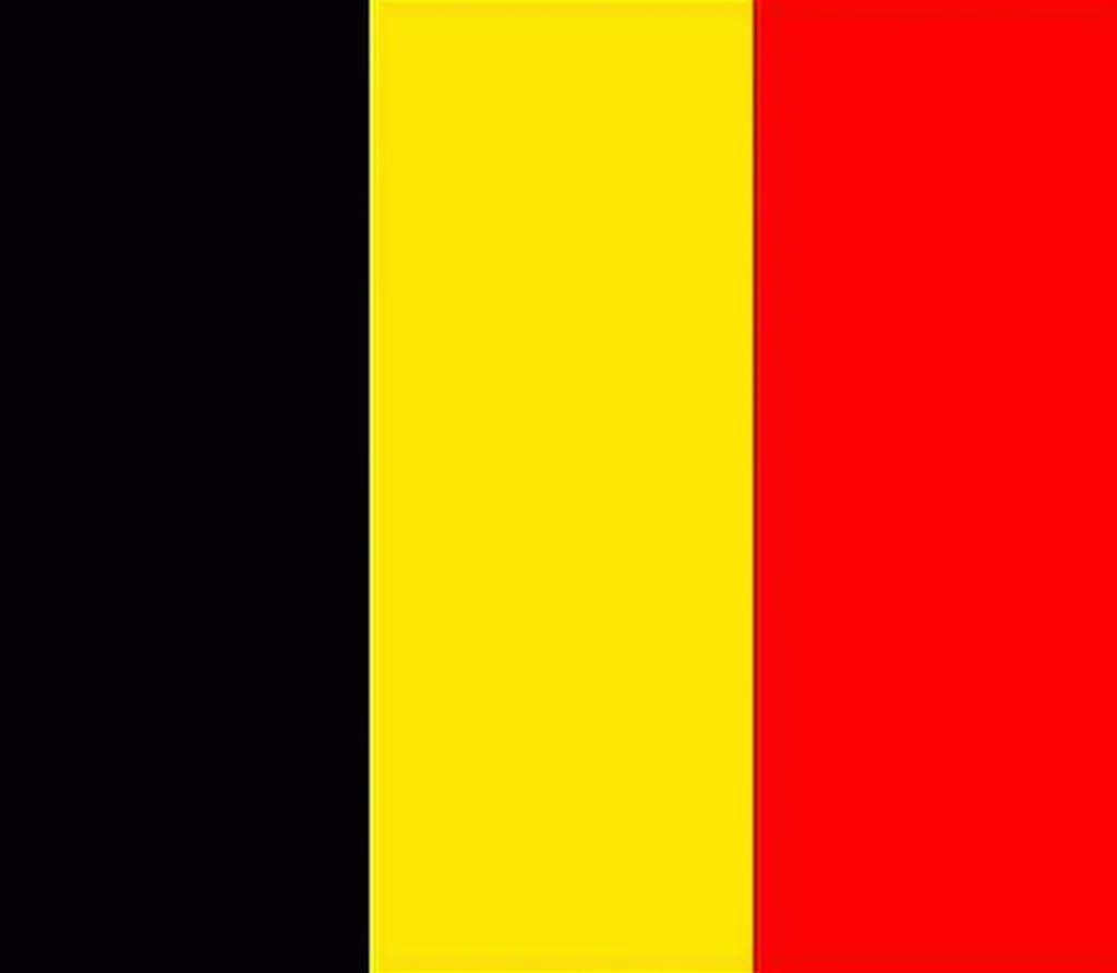 Cherche transporteur express à Charleroi en Belgique c'est Flexatrans Belgique