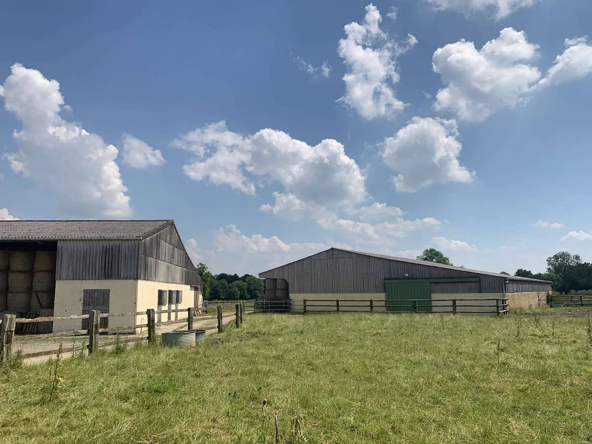 PAYS D'AUGE DU CALVADOS : Région LIVAROT : Structure Equestre et élevage de bovins de 28 HA