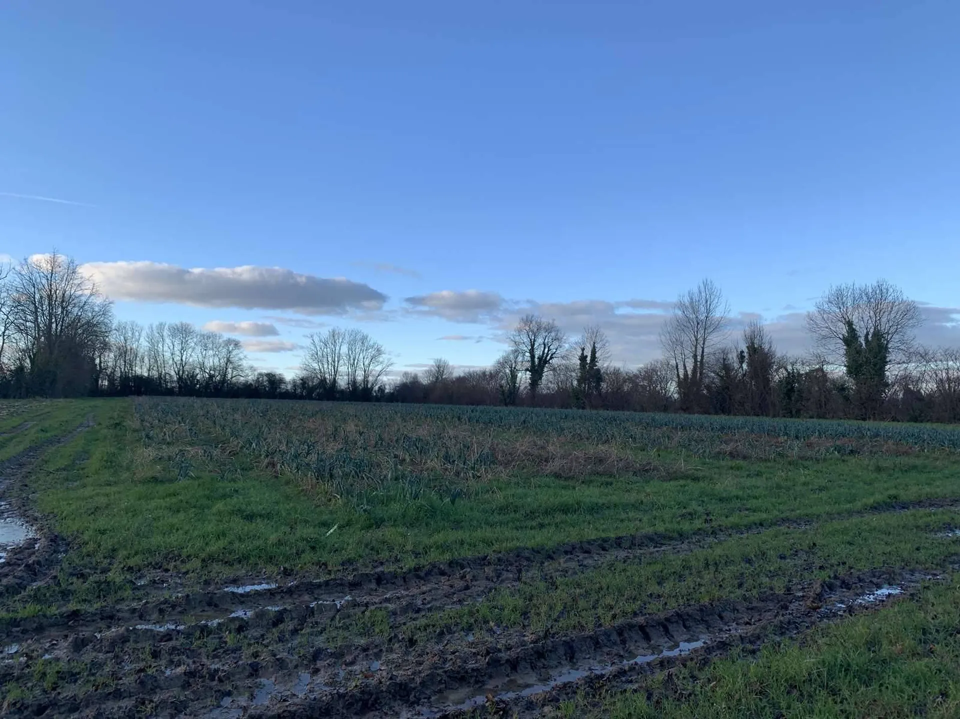 Région NORMANDIE (CALVADOS) : Entre LISIEUX et PONT L'EVEQUE : Exploitation agricole (maraîchage) sur 13 HA