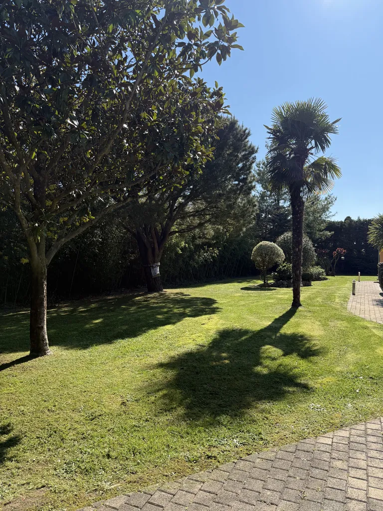 Entretien de jardin à Cugnaux près de Portet Sur Garonne : tonte, taille, nettoyage et évacuation des déchets verts