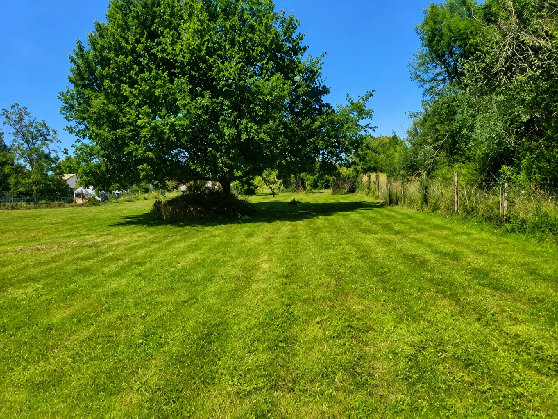 Terrain à bâtir de 2300 m² sur la commune de Saint Ciers d'Abzac, proche de Libourne et de ses commerces et commodités 
