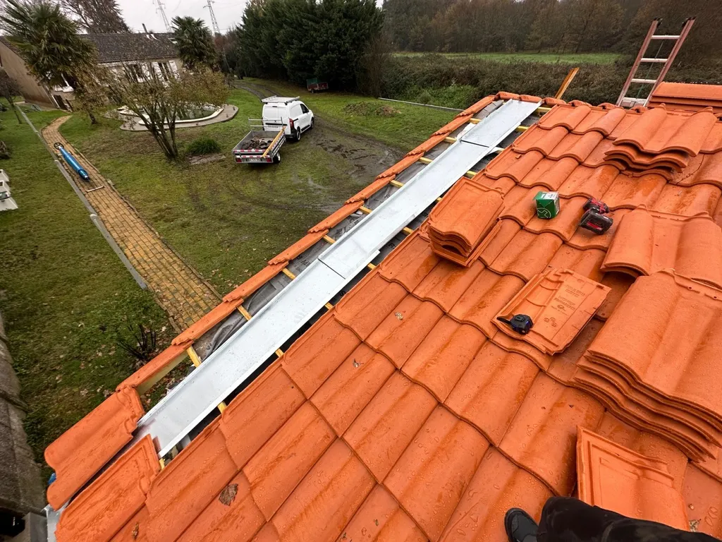 remplacement cheneau en zinc sur toiture de maison à nantes