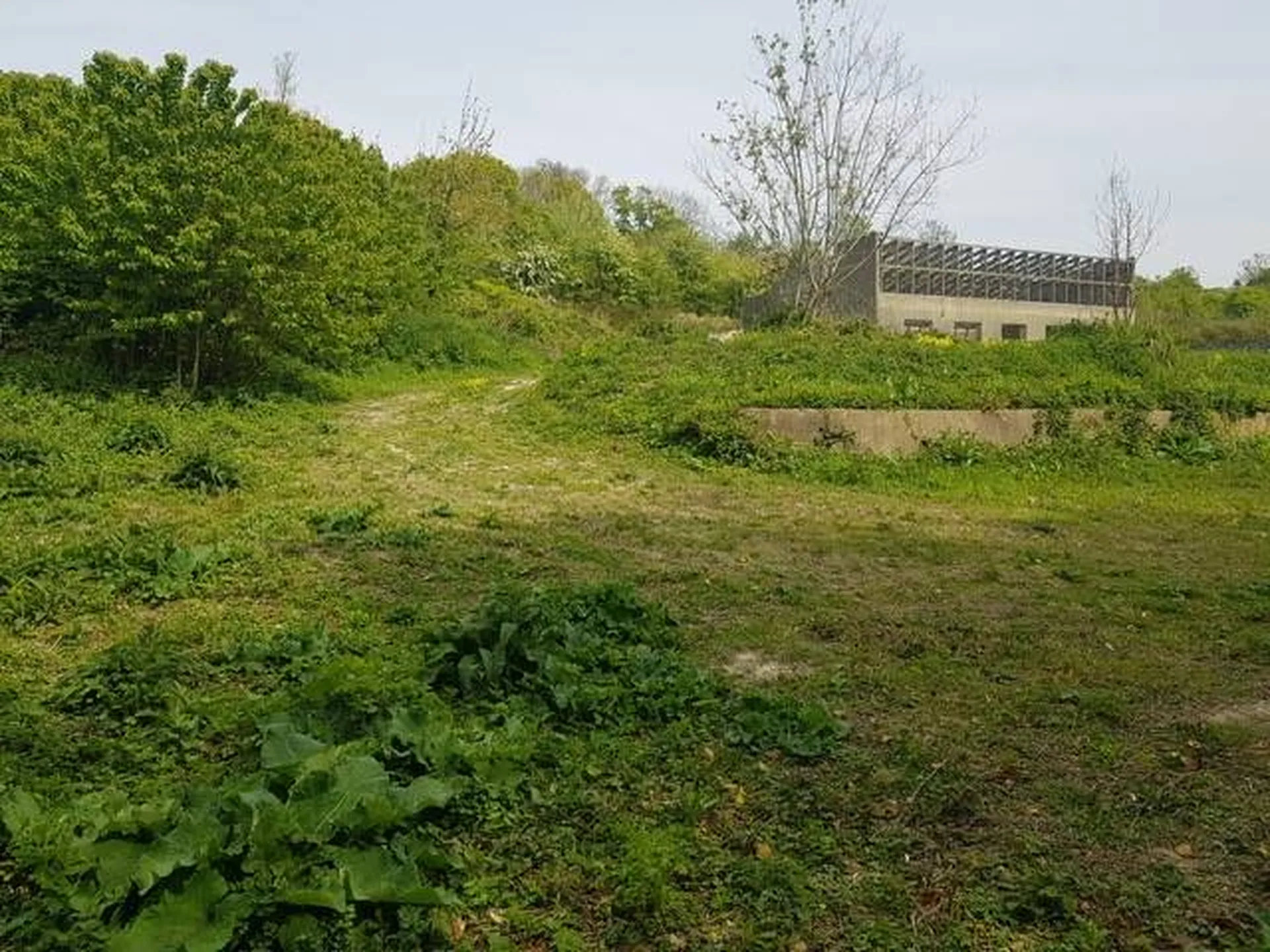 VENDU Dans un village de bord de mer, Terrain constructible de 5000 m² en partie boisé, Normandie 76