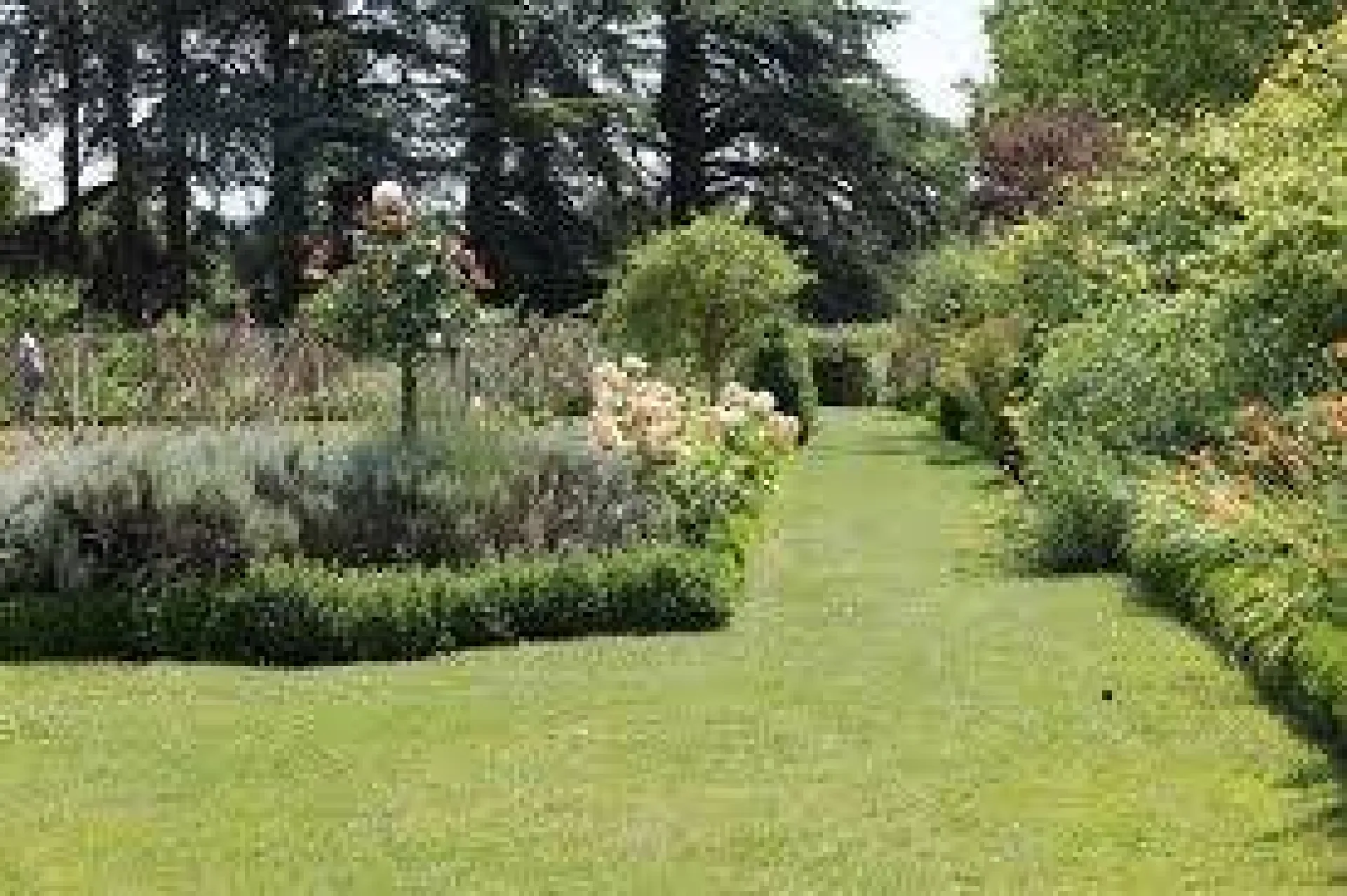 Tonte  de pelouse chez un particulier