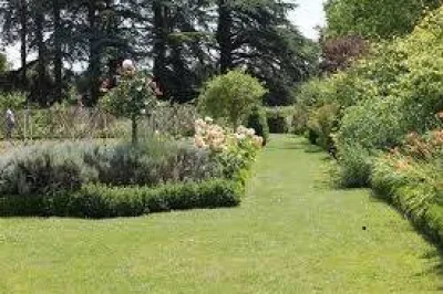 Tonte  de pelouse chez un particulier