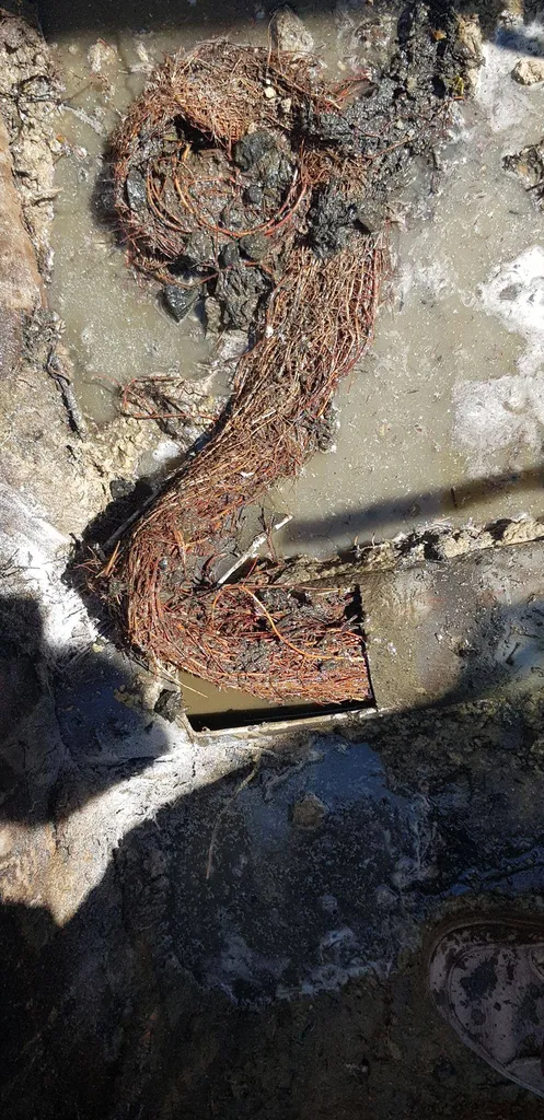 Canalisation bouchées par des racines à La Tour d'Aigues