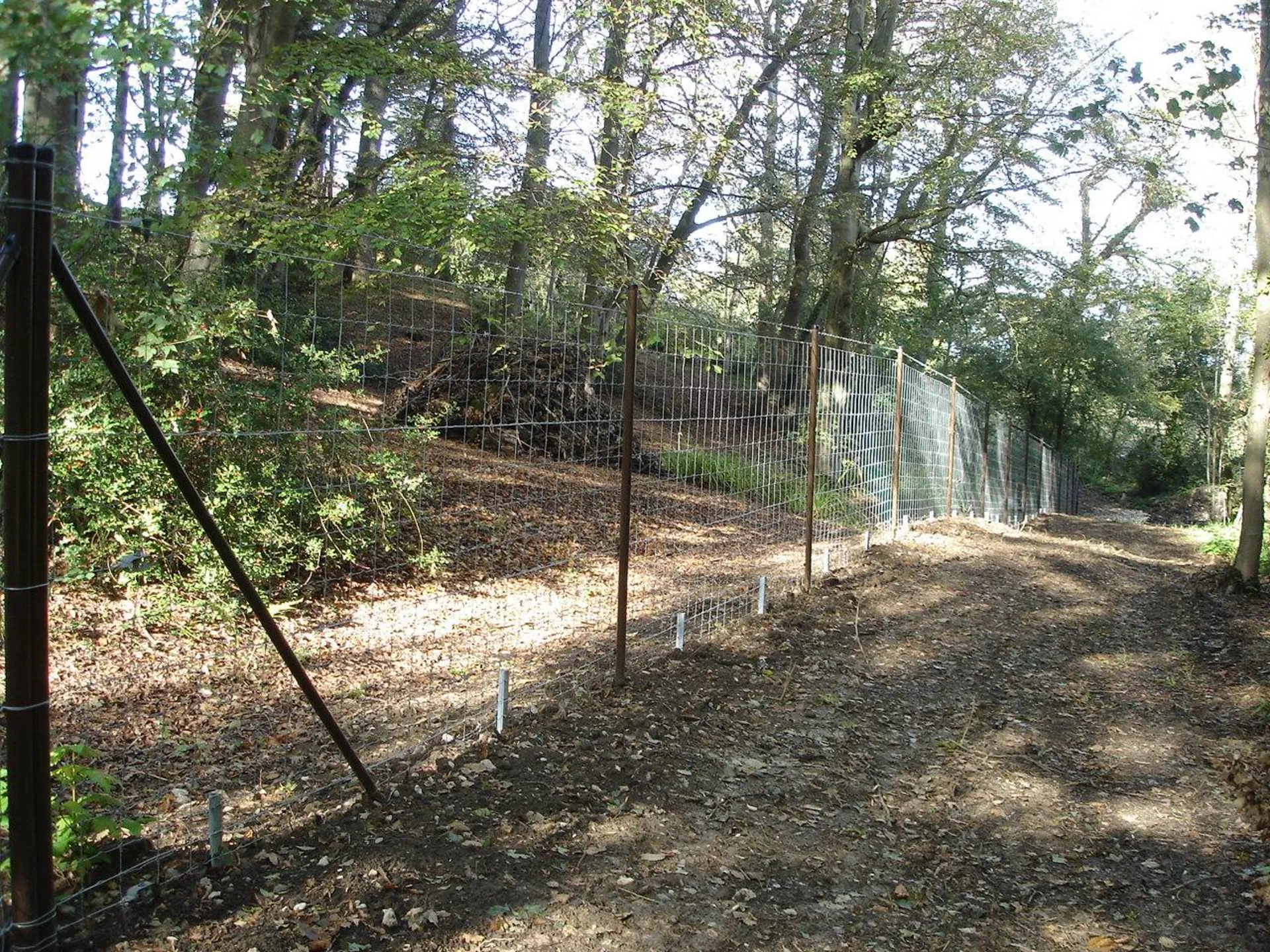réalisation d'une clôture anti-gibier en Normandie 