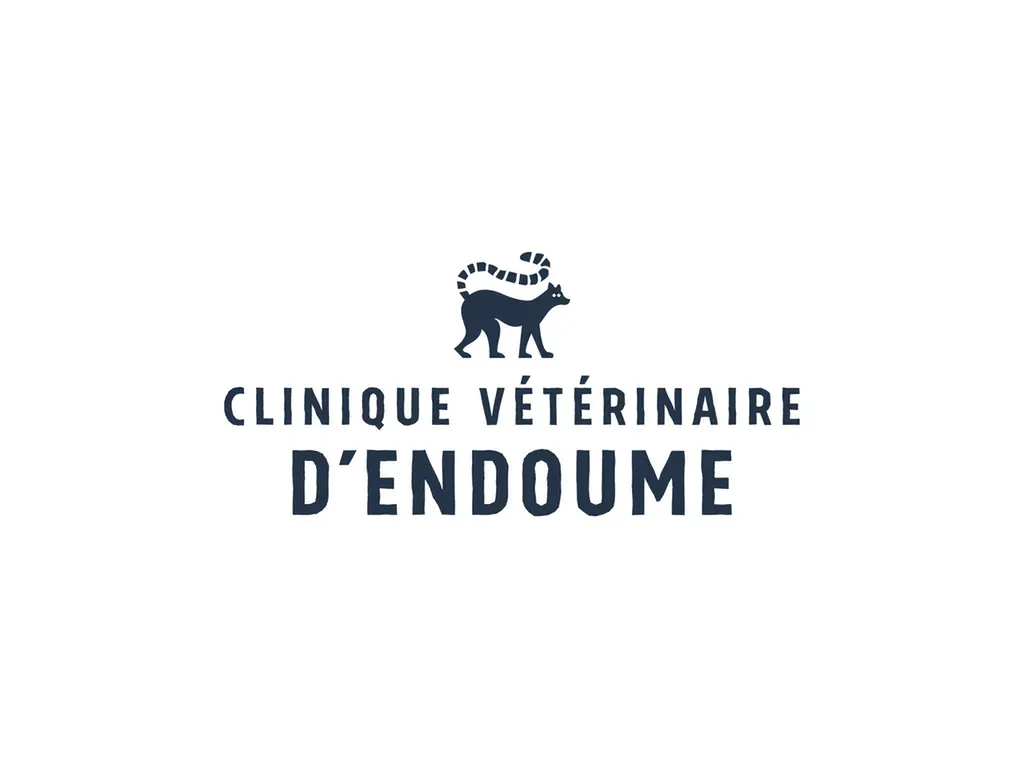 Réserver un vétérinaire en ligne à Marseille pour oiseaux exotiques