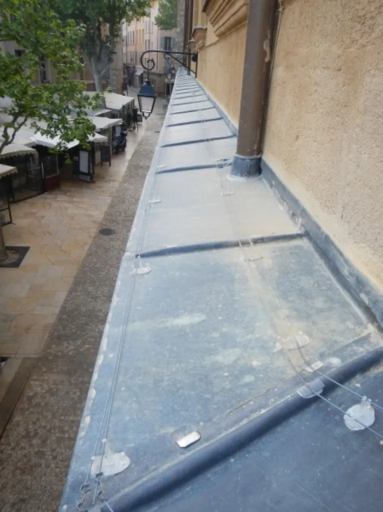 entreprise contre les pigeons bouches du Rhône