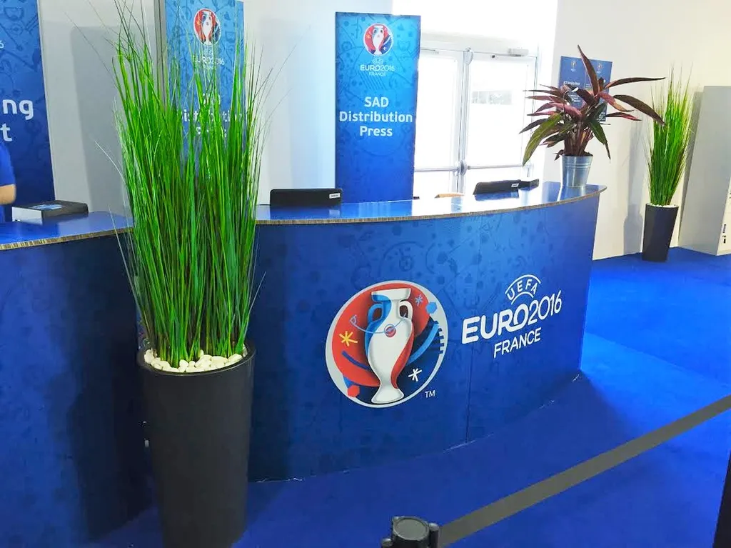 Décoration plante EURO 2016 LYON