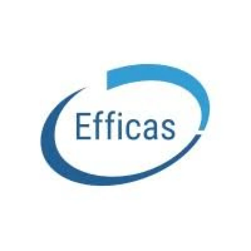 Electricité, Interphonie, Automatismes, Rénovation, Maintenance, INTRATONE et CIBOX marseille Efficas