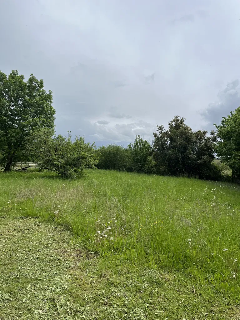 Terrain 
