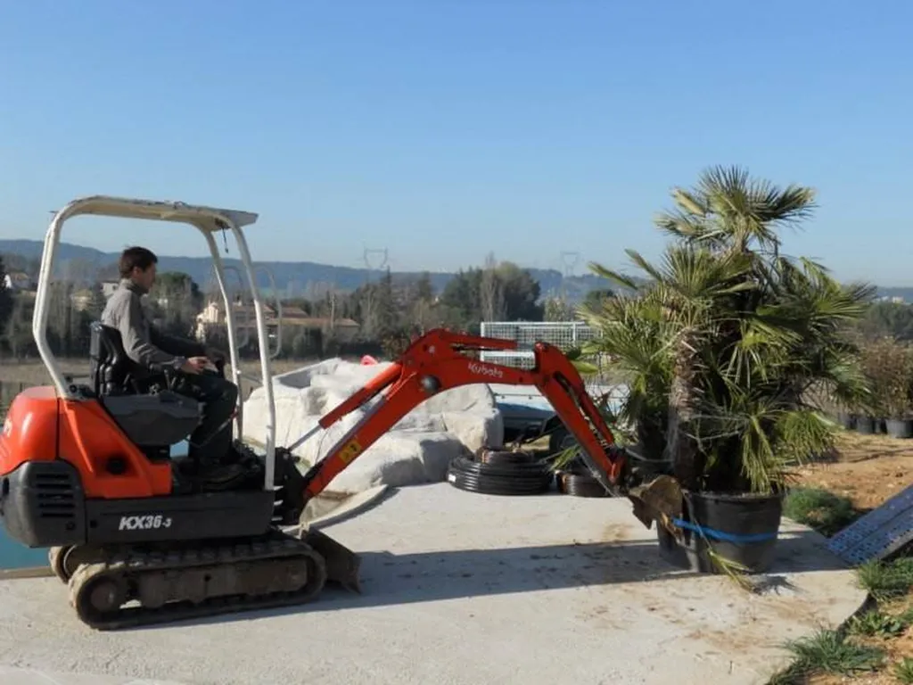 Plantation de palmiers par le paysagiste de Fuveau.