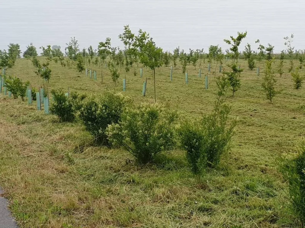 Après notre fauchage