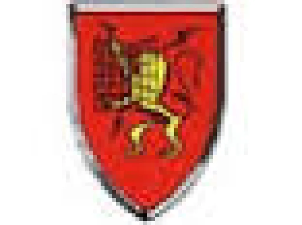 ARMEE DE L AIR Base aérienne 942 rte de la Glande 69760 LIMONEST 04 72 26 08 93 BASE AERIENNE DE LIMONEST