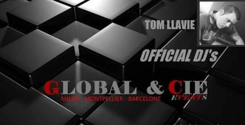 dj animation musicale mariage les salons de laure (13)