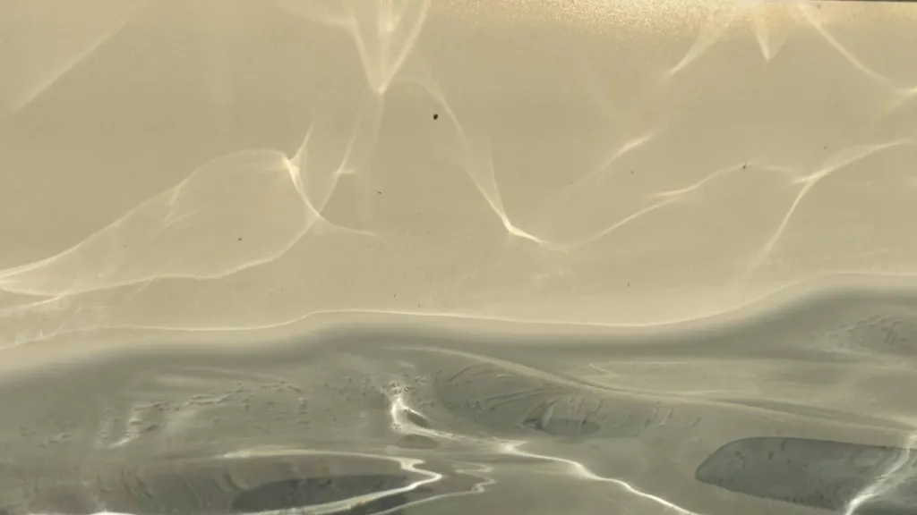 Piscine design couleur Vert Bali devant maison contemporaine, eau gris-vert élégante avec plage en pierre et végétation.