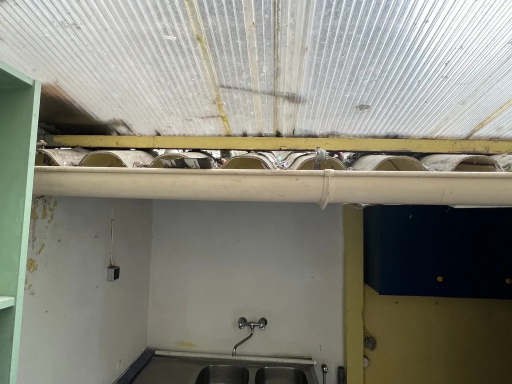 infestation de rongeurs dans une copropriété de Marseille 13004