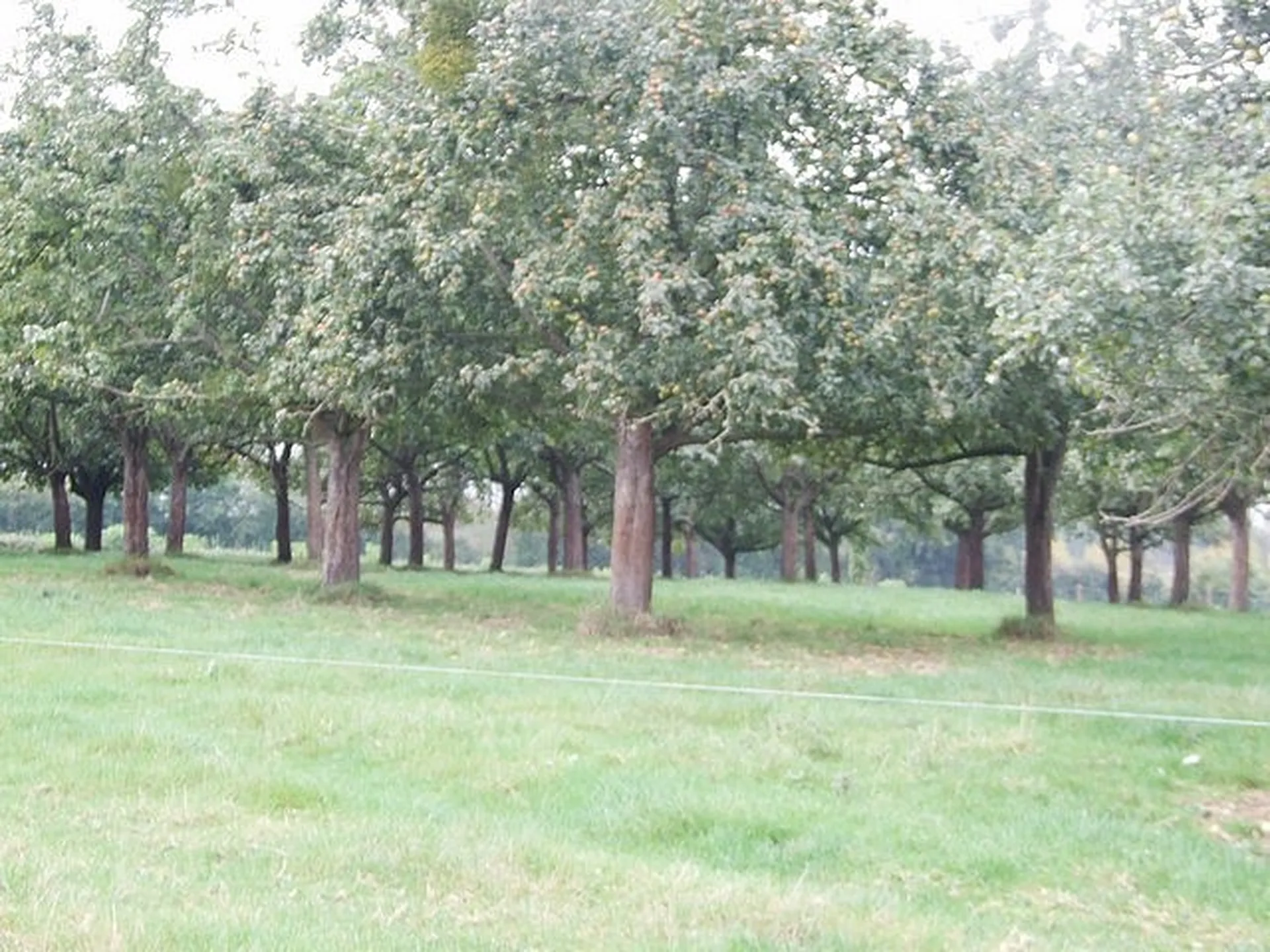 ANCIENNE FERME DANS LE CALVADOS 14, NORMANDIE